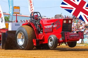 Brutus Thunderstruck