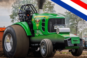 de groene Aardbei
