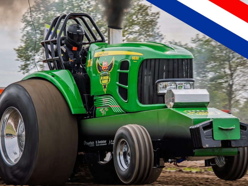 de groene Aardbei